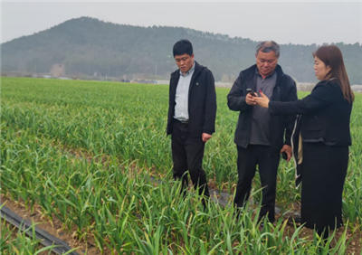 Maria Machine Visite cliente coreano