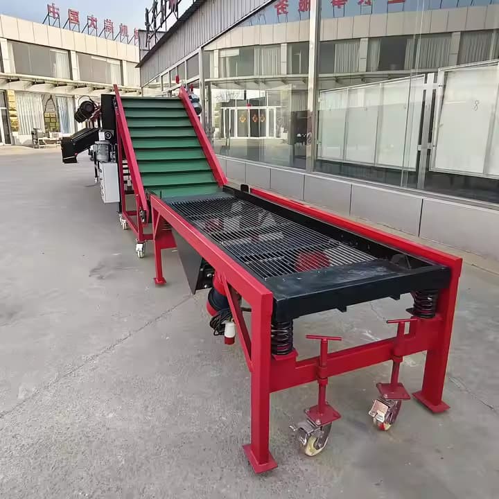 Certificado de alho certificado CE Classificação comercial Processamento de maquinaria Garantia Máquina de classificação de alho rápida