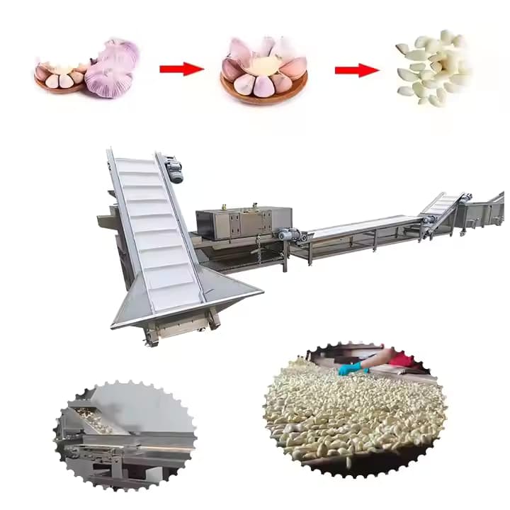 Tipo de cadeia Tipo de cadeia Industrial Linha de produção de alho inteira Industrial Processamento profundo de alho, máquina de separação de alho, máquina de descascar, classificador de cores, plataforma de colheita manual, tanque desinfetando, cadeia de lavar, lavar, lavar a cadeia
