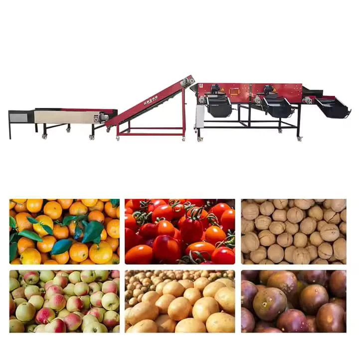 Preço da fábrica Classificação automática de frutas de frutas Apple Potata tomate laranja abacate Classificação Máquina de pesagem de lavagem de lavagem