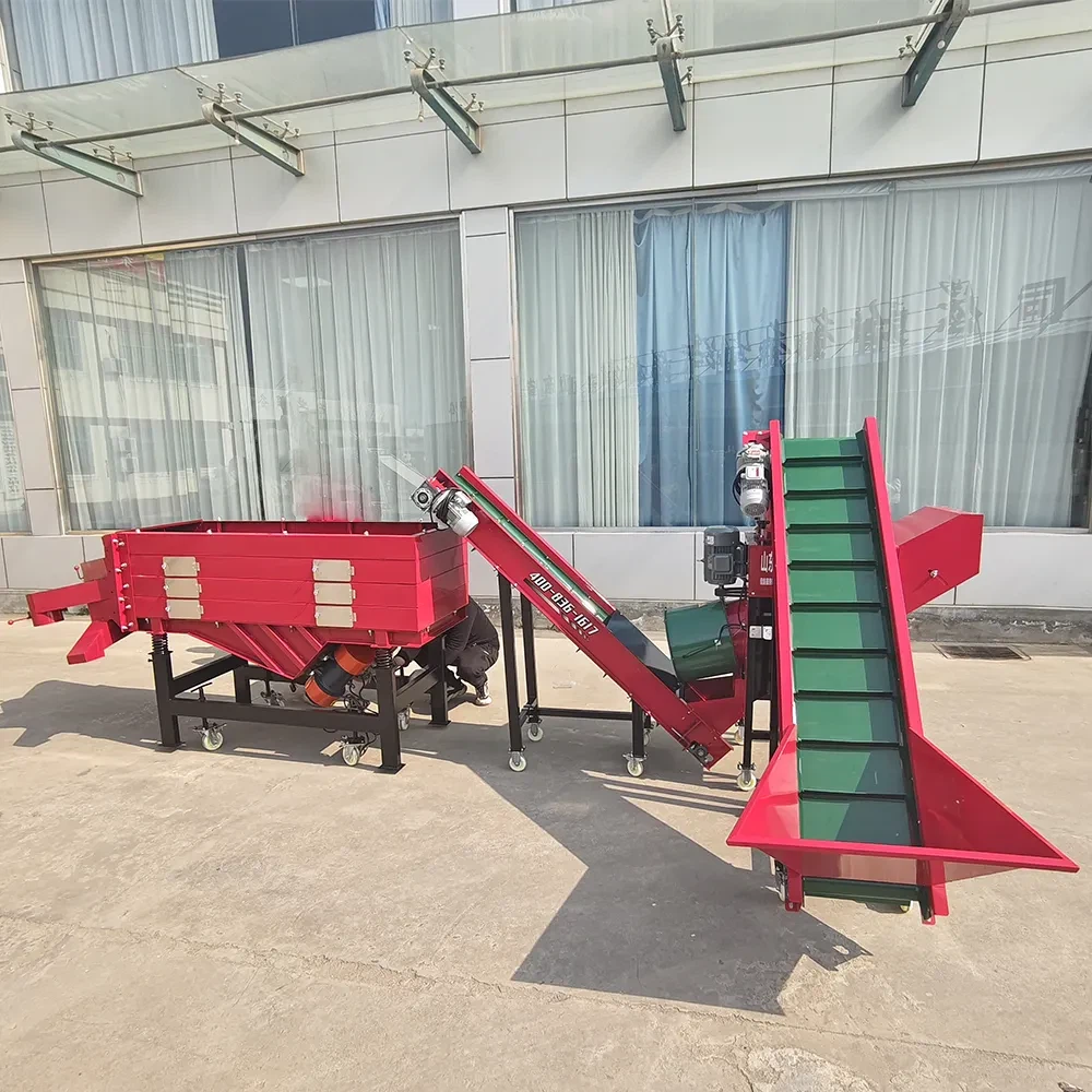 Linha de embalagem de classificação de solução de fábrica de alho 50-5000 kg\/h capacidade configurável