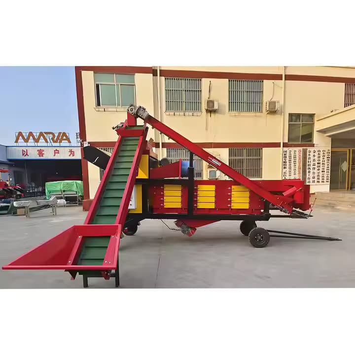 Máquina de divisor de alho de alta eficiência 304 Aço inoxidável 2000 alho\/minuto Comercial Use divisão e classificação de alho