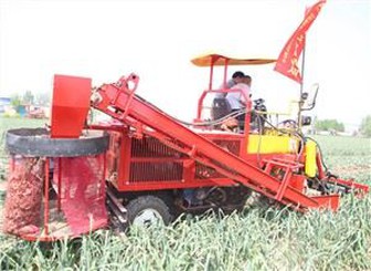 Colheitadeira de alho